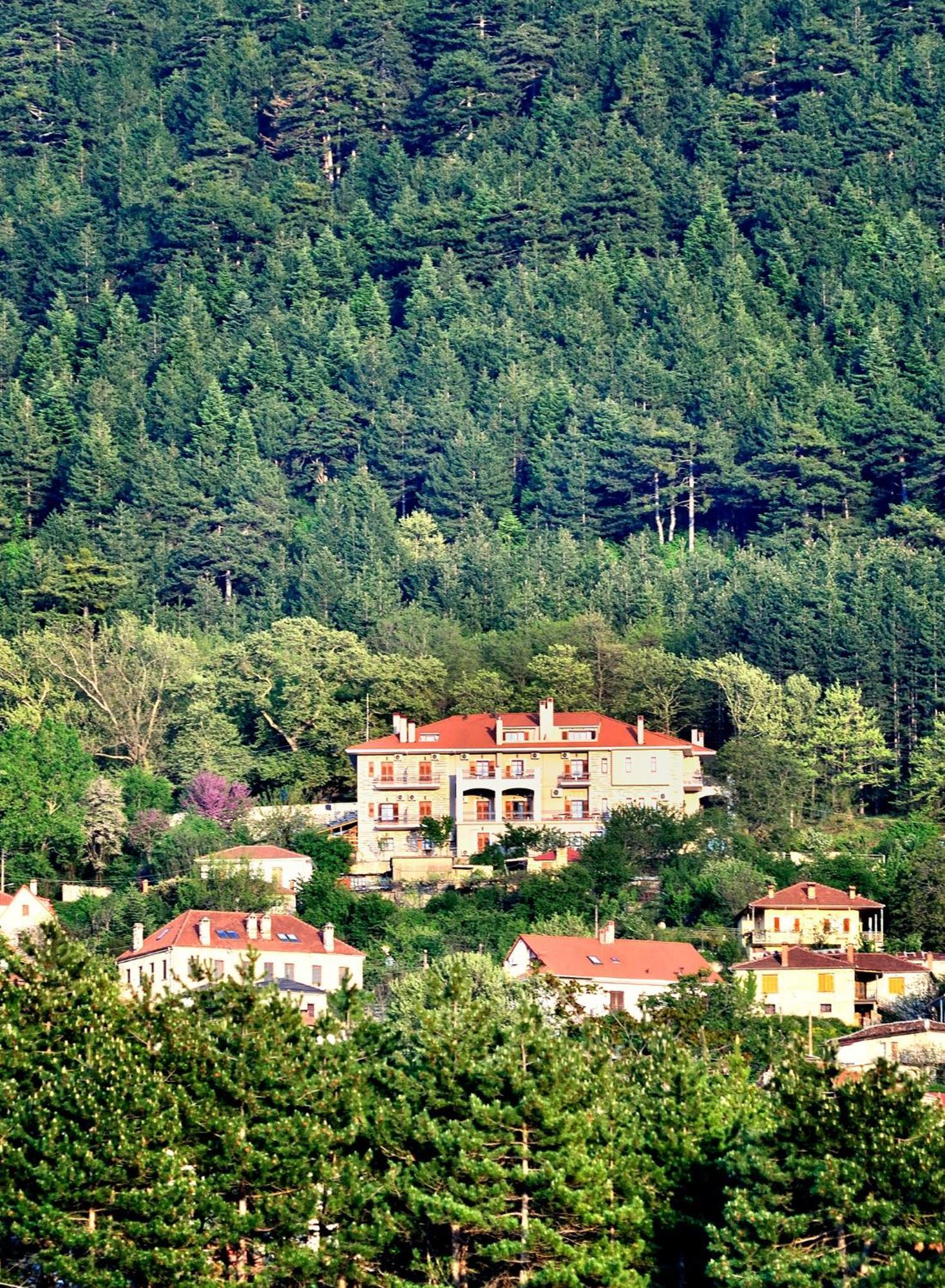 Konitsa Mountain Hotel Exterior foto